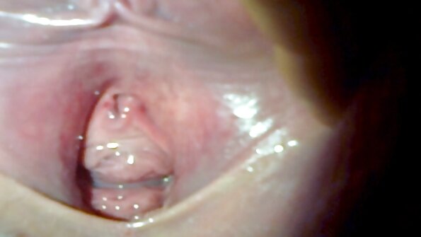 டிக் உறிஞ்சும் அழகி அழகா தனது கம் சுவைக்க விரும்புகிறது